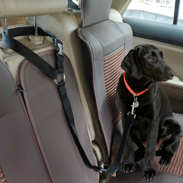 楽天市場 選べる6色 ペットシートベルト ペット ベルト 車 犬 犬用 シート 後部座席用 防水 車 車載 車用 後部座席 軽自動車 愛犬 飛び出し 防止 フック 落下 簡単取付 犬用 猫 猫用 イヌ いぬ Yff Autoone