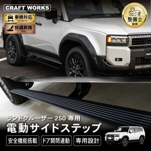 yJ[piCRAFT WORKSiNtg[NXjzhN[U[ 250 dTChXebv TChXebv N veN^[ V^ O y  S@\ JX^ p[c ubN  