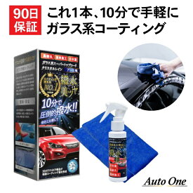 【動画あり】 ガラスコーティング剤 車 撥水 超撥水 ガラス コーティング剤 業務用 車用 液体 ガラスコーティング 車載 カーコーティング 超滑水 クリスタルレイン ガラス系 スーパートップコート カー用品 車用品 おすすめ 送料無料 100ml