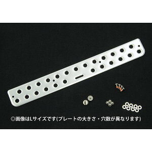 Ci JAOS }bhK[hIII v[gLbg STCY @ p D621003 KmF