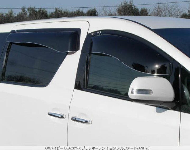 楽天市場】OXバイザー ブラッキーテン フロントセット レジアス 