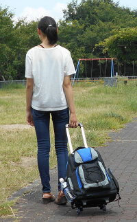 非常持ち出し袋(キャリーカートNEW)【防災用品・非常用持出袋・非常持ち出し袋・キャリーカート・キャリーリュック・避難用品】【楽ギフ_包装】【楽ギフ_のし】【楽ギフ_のし宛書】【楽ギフ_メッセ】【楽ギフ_メッセ入力】
