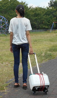 非常持ち出し袋(キャリーカートNEW)【防災用品・非常用持出袋・非常持ち出し袋・キャリーカート・キャリーリュック・避難用品】【楽ギフ_包装】【楽ギフ_のし】【楽ギフ_のし宛書】【楽ギフ_メッセ】【楽ギフ_メッセ入力】