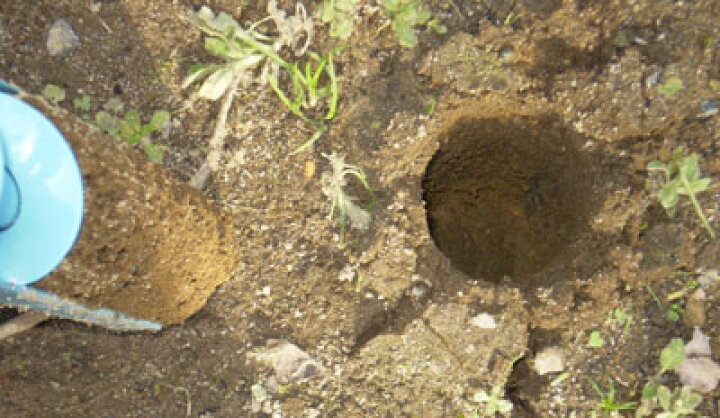 簡単穴掘り器 50mmかんたん 穴堀り器 簡単 簡単穴掘り器 50mmかんたん 穴堀り器 簡単
