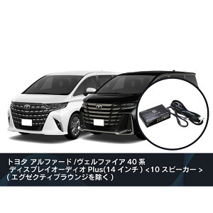 【10/24 20:00-10/27 09:59まで! エントリーでP5倍】Beat-Sonic ビートソニック DSP機能付きアンプ TOONーX DSP-T316