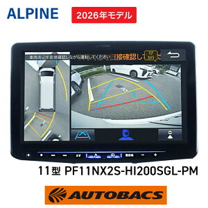 ALPINE �A���p�C�� PF11NX2S-HI200SGL-PM�i2026�N���f���j�p�[�t�F�N�g�t�B�b�g �r�b�OX�@�n�C�G�[�X �X�[�p�[GL(�p�m���~�b�N�r���[���j�^�[������)�p�@�J�[�i�r