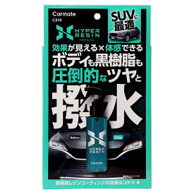 Carmate カーメイト ハイパーレジン クロス付き100 C210