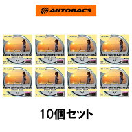 10個セット エアースペンサー カートリッジ ブライトムスク A101
