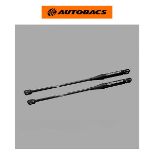 MUGEN ���Q�� �p�t�H�[�}���X�_���p�[ 50460-XNRC-K0S0 �V�r�b�N �^�C�vR FL5