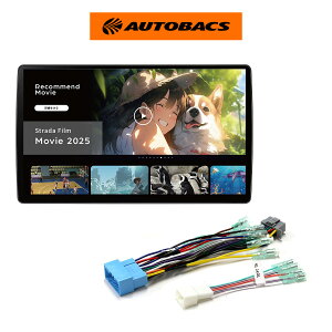 �p�i�\�j�b�N Panasonic CN-F1X10C1DA �X�Y�L�I�[�f�B�I���X ���C�h2DIN�d�l�Z�b�g