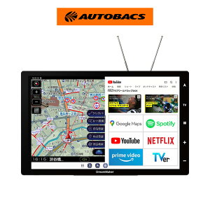 �h���[�����[�J�[ DPLAY-1013ATP