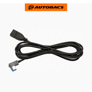 Panasonic�@iPad/USB�ڑ��p���p�P�[�u���@CA-LUB200D