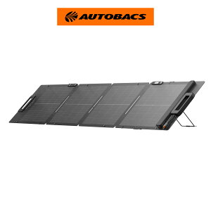 EcoFlow 110W�y�ʗ��ʃ\�[���[�p�l��