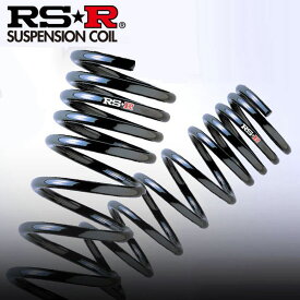 RSR RS★R DOWN サスペンション トヨタ オーリス/ZRE186H/リア用/T570DR