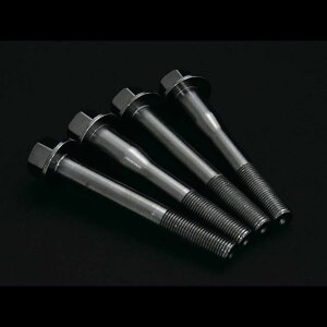 Revolution tgo[Z^[O{g RZN6FMCB g^ 86 BRZp