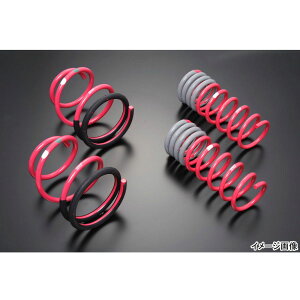 STI RCXvO(NA/CVTԗp) tg 1{ ST203-0SF010 Xo tHX^[