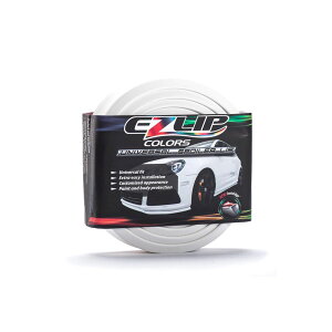 ANY'S EZLIP EZ1003 zCg