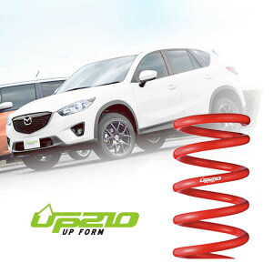 y12/1() 00:00-ő2000~OFFN[|ztanabe ^ix SUSTEC UP210 TXyV 1䕪 S321GUK _Cnc Ag[S