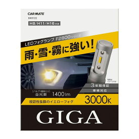 【在庫有 特価】CARMATE カーメイト GIGA LEDフォグランプF2800 BW5122 3000K H8／11／16