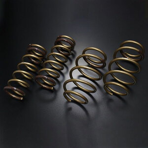 TEIN eC HIGH.TECH XvOLbg 1䕪 SKAAV-G1B00 Xo H[O