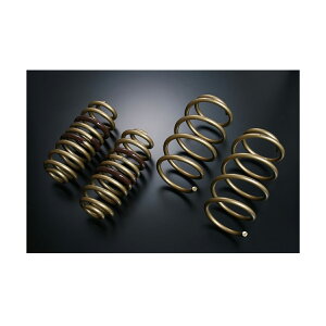 y11/20 20:00-11/27 01:59܂ŁIGg[P5{zTEIN eC XvOLbg _ETX HIGH.TECH SKC88-G1B00 At@[h Ft@CA