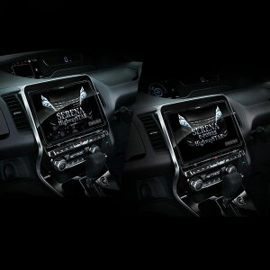 ALPINE ApC EX11NX2-SE-27-L-AM rbOX 11^J[ir jbT ZiiC27njp