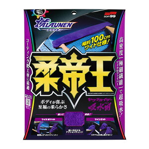 SOFT99 \tg99 ALAUNEN JCU[ zpNX