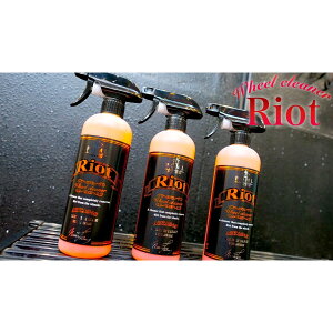 y11/1(y) 00:00`ő2000~OFFN[|zNUNUt@Ng[ POML Riot PM21