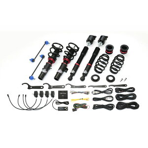 BLITZ ubc 98669 ZZ-R DSC PLUS FL1 CIVIC RS