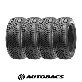 【5/9 20:00-5/16 01:59 エントリーでP5倍】185/60R15 オールシーズンタイヤ シーエスティー メダリオン ACP1 4本セット CST MEDALLION ACP1