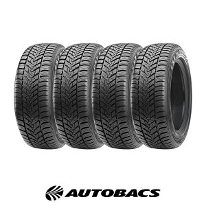 155/65R13 I[V[Y^C V[GXeB[ _I ACP1 4{Zbg CST MEDALLION ACP1