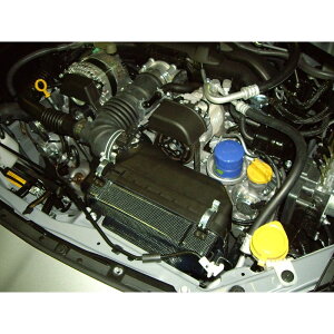 SYMS VX GAC_NV{bNX Y2000EG005 Xo g^ BRZ 86