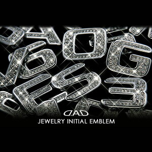 y12/1() 00:00-ő2000~OFFN[|zGARSON M\ D.A.D WG[ CjV Gu .-/NX^