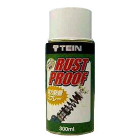 TEIN テイン ラストプルーフ SST01ーF1940ー1 300ml 1本