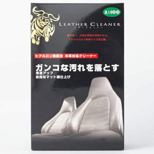 vXe[W Bl100 U[N[i[ی