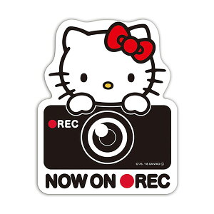 y11/4 20:00-11/11 01:59܂ŁI Gg[P5{zhCuR[_[ XebJ[ ZC n[LeB KT533 bh