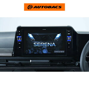 ALPINE �A���p�C�� EX11NX2-SE-28-AM�i2026�N���f���j�r�b�OX�@�Z���i�iC28�n�j��p�@�J�[�i�r
