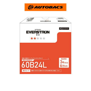 �y10%OFF�N�[�|���z�y�y�VSS 3/4 20:00-3/11 01:59�܂� �G���g���[��P5�{�zEVERSTRON �G�o�X�g���� ���Y�ԗp�J�[�o�b�e���[ S-2 60B24L �[�d����ԑΉ�