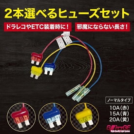 1000円ポッキリ ヒューズ 電源取り出し 車 10A 15A 20A 選べる2本 平型 ノーマル ヒューズボックス ヒューズホルダー 配線隠し 整備 アソート まとめ買い エーモン (株)アガタ DIY カスタム 業務用 カー用品 配線ホルダー 送料無料 【ノーマル】