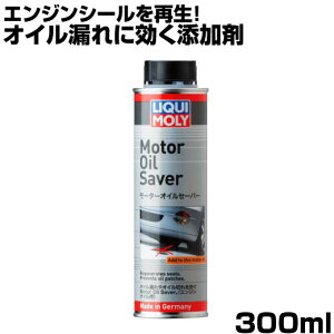 LIQUIMOLY L ICY [^[ICZ[o[ 300ml ICp ICR IC؂