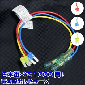 【1000円ポッキリ】 送料無料 ヒューズ 電源 取り出し 10A 15A 20A 選べる2本 平型 マイクロ2 ヒューズボックス ヒューズホルダー 配線隠し エーモン (株)アガタ AGT 整備 アソート まとめ買い DIY 業務用 カー用品 配線ホルダー