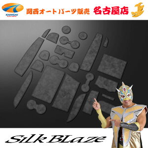 SilkBlaze VNuCY30 At@[h / Ft@CAU[|Pbg}bg 24P}bgO[