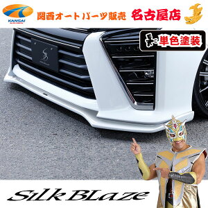 80nHNV[ ZS tgbvX|C[ Type-S h/PFh VNuCY/SilkBlaze [s]