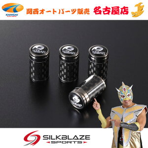 SilkBlaze SPORTS(�V���N�u���C�Y �X�|�[�c)�J�[�{���o���u�L���b�v(4P)