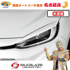 SilkBlaze(VNuCY)11nANA GRX|[cACC(h)(s)