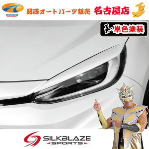 SilkBlaze(VNuCY)11nANA GRX|[cACC(PFh)(s)