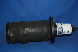 GATXXvO@x[Y@tg1{@ X^_[g@DUNLOP@P38 RANGE ROVER