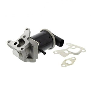 EGR ou VW | 6 × 1 030131503F 6E1/LUPO 6N2 & ZAg AROSA 6 H/CrT MKII 1.0 030131547B E100650 FDR393 V10630072 030131550 AL-BB-4076 AL