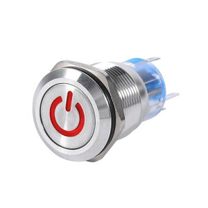 19mm 12V LED hXeXȃb`dXCb` ANZT[ Iׂ4J[ zCg`O[ AL-DD-1002 AL Car parts