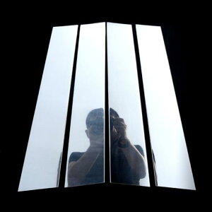 EChE B pl  XebJ[g ZfXxc S NX W222 320 400 GNXeA 4 Pieces AL-DD-6750 AL Car plating parts